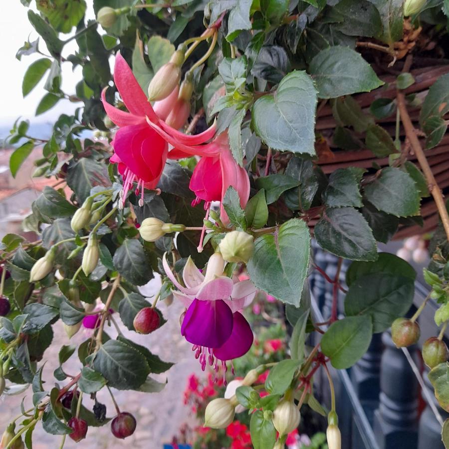 Sanmiguelavilla Hotel"S Vdl Villa de Leyva Dış mekan fotoğraf